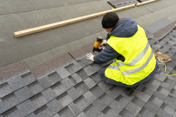 Best Metal Roofing Contractor  in Mount Jackson, VA