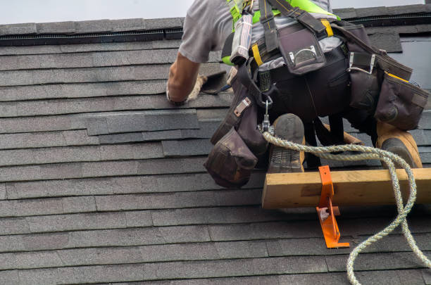 Best Storm Damage Roof Repair  in Mount Jackson, VA