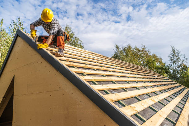 Best Roof Leak Repair  in Mount Jackson, VA